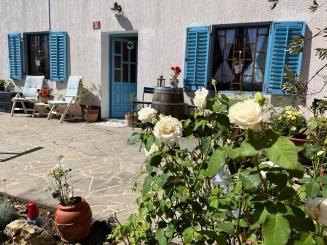 Istrian house Mojca Villa Koper Buitenkant foto